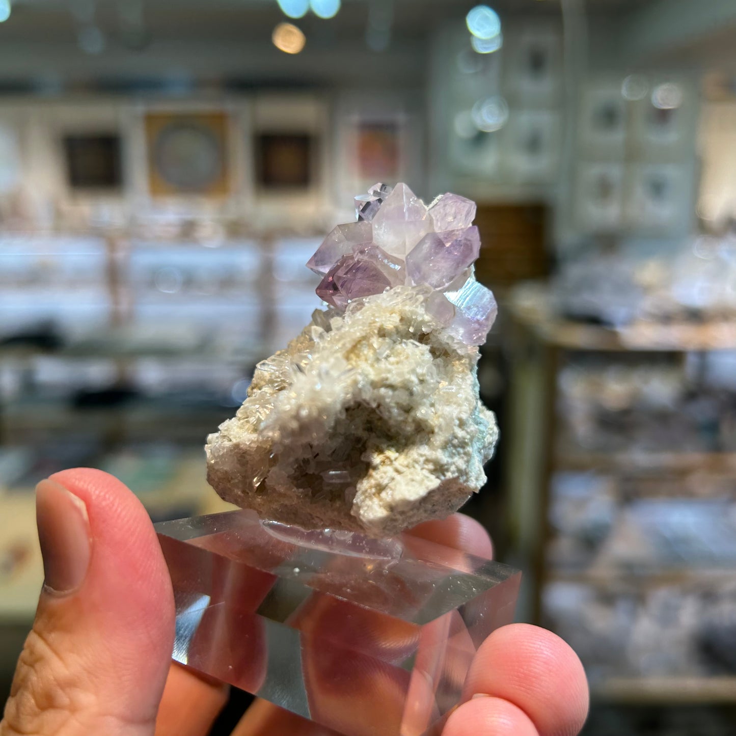 005 YouTubeライブ アメジスト アメリカ