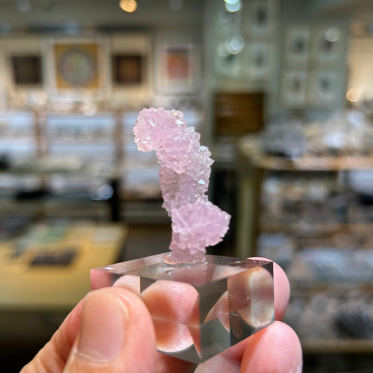 006 YouTubeライブ ローズクォーツ ブラジル