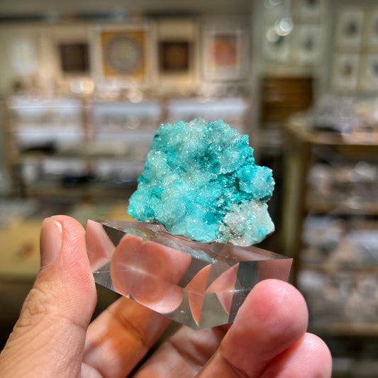 007 YouTubeライブ　ヘミモルファイト　オーリチャルサイト　ローザサイト　コンゴ