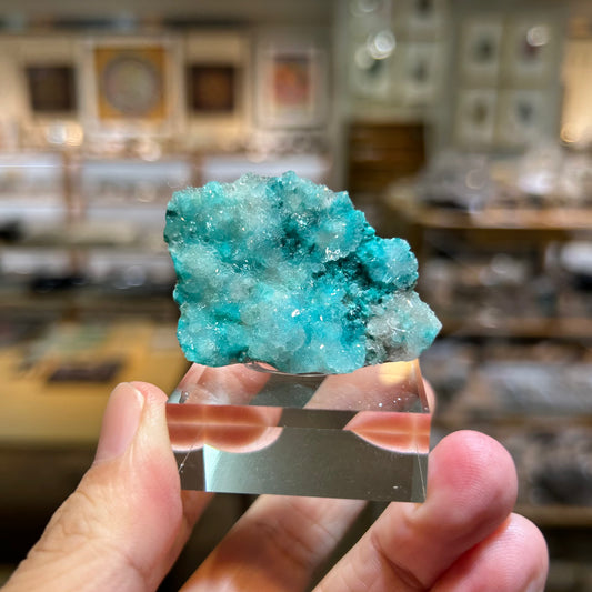 007 YouTubeライブ　ヘミモルファイト　オーリチャルサイト　ローザサイト　コンゴ