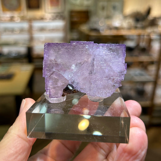 004 YouTubeライブ　フローライト　アメリカ