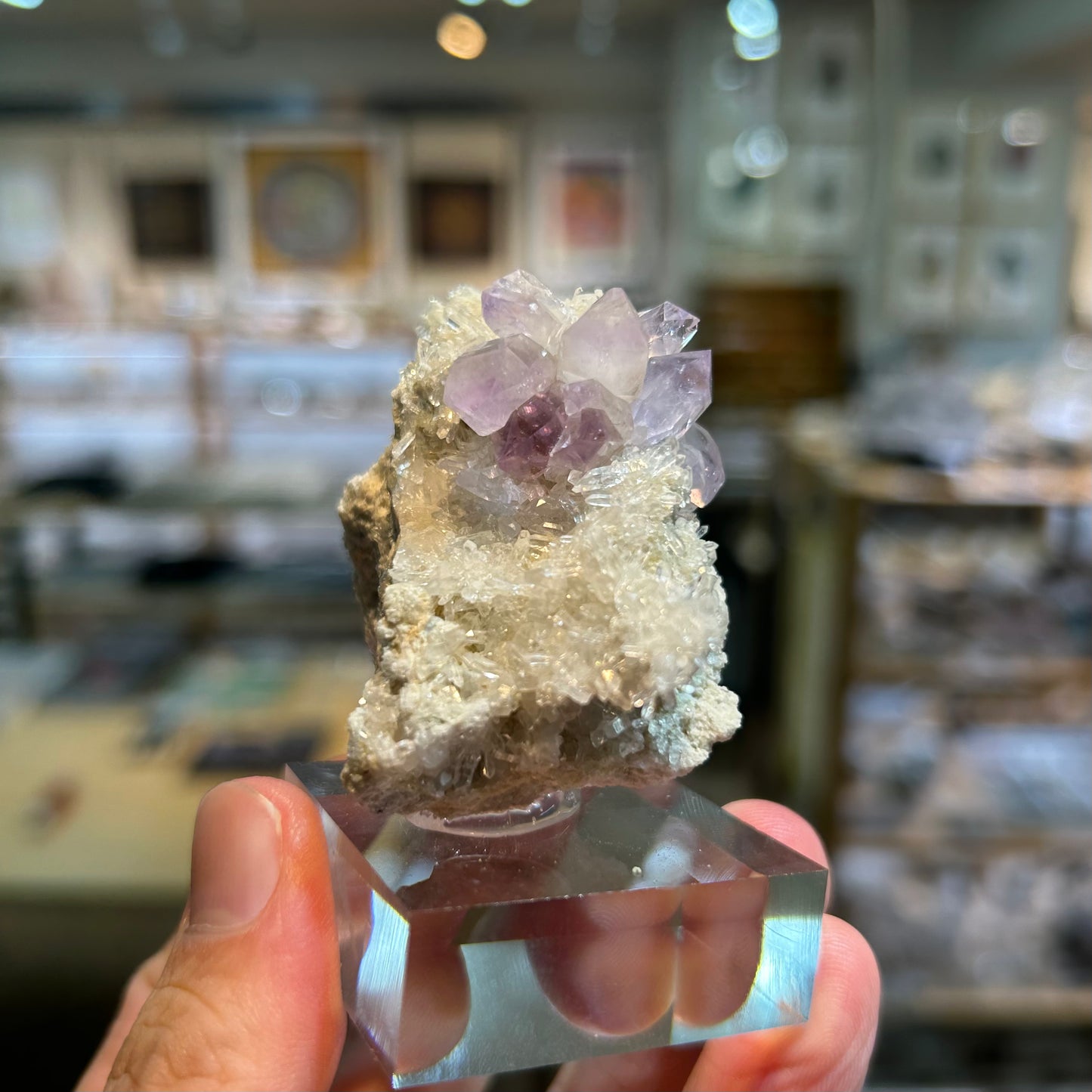 005 YouTubeライブ　アメジスト　アメリカ