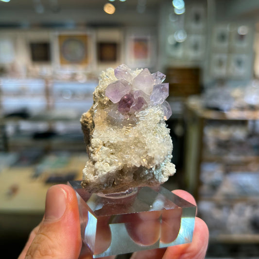 005 YouTubeライブ　アメジスト　アメリカ