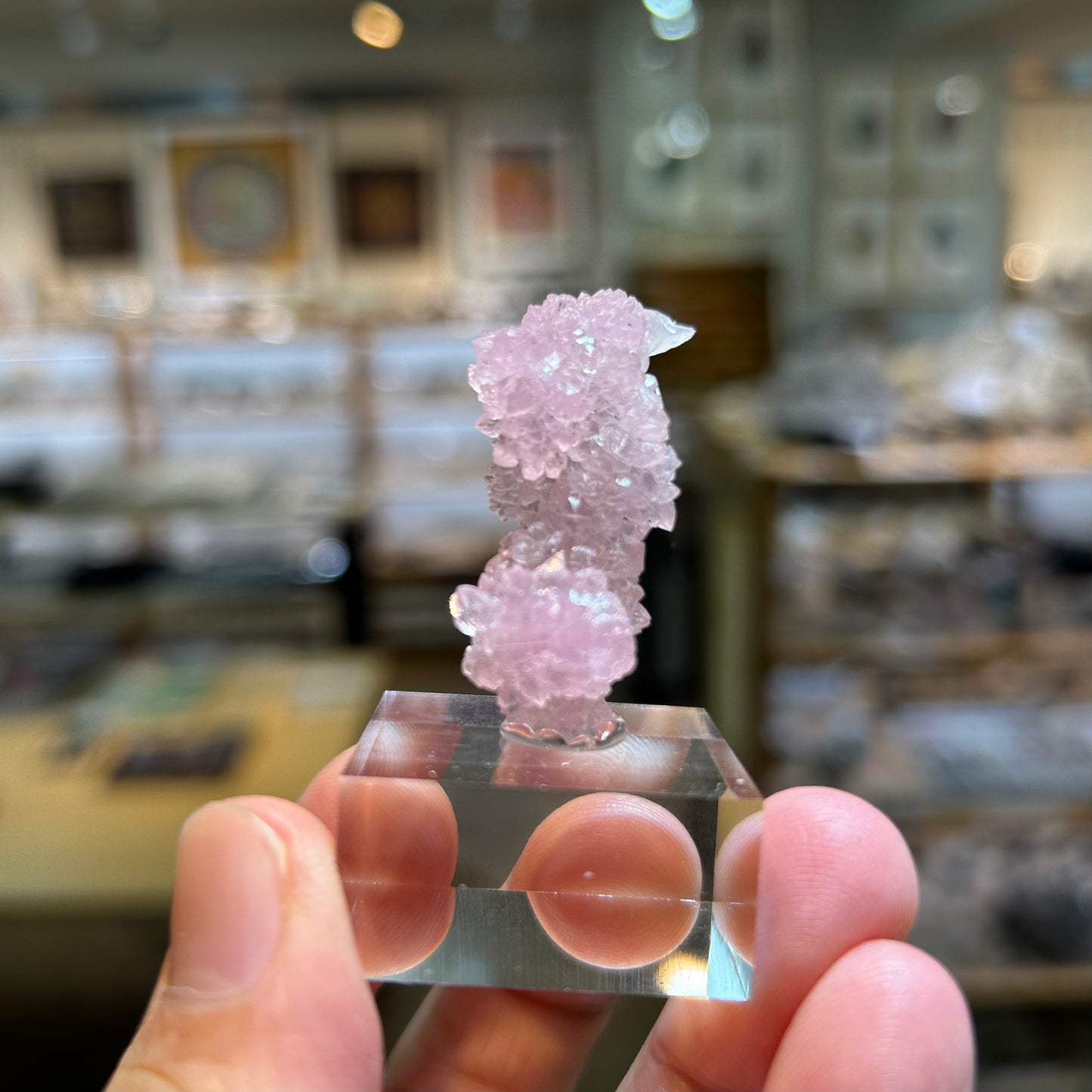 006 YouTubeライブ　ローズクォーツ　ブラジル