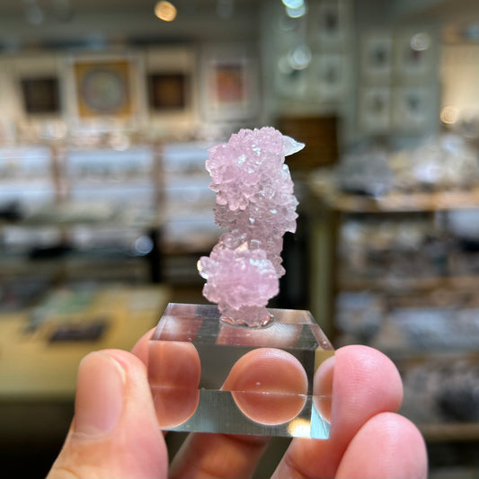 006 YouTubeライブ　ローズクォーツ　ブラジル