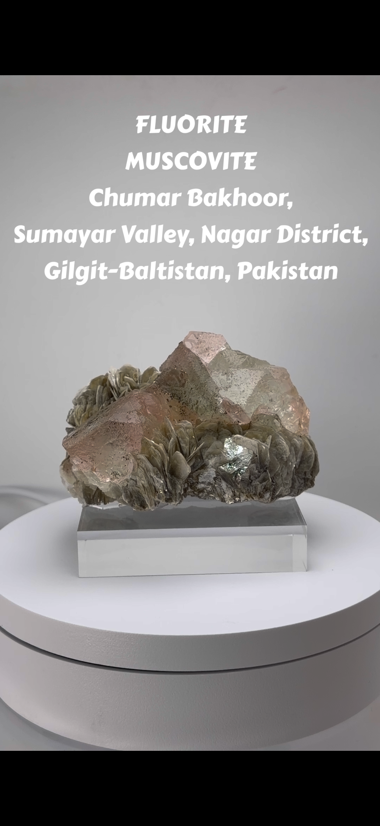 フローライト × モスコバイト

（Pakistan / Gilgit-Baltistan）