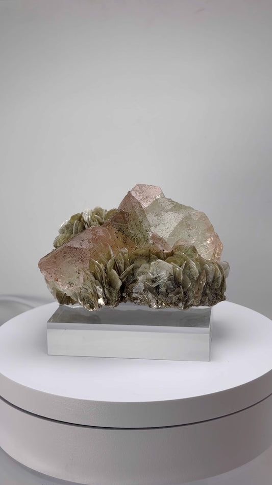 フローライト × モスコバイト

（Pakistan / Gilgit-Baltistan）